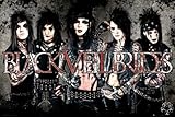 Black Veil Brides Poster Walmart