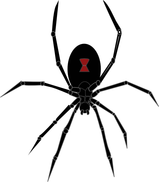 Black Widow Spider Drawing