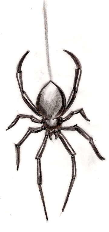 Black Widow Spider Web Tattoo Designs