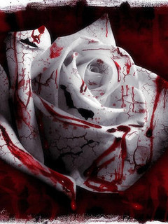 Blood Love Wallpaper Download