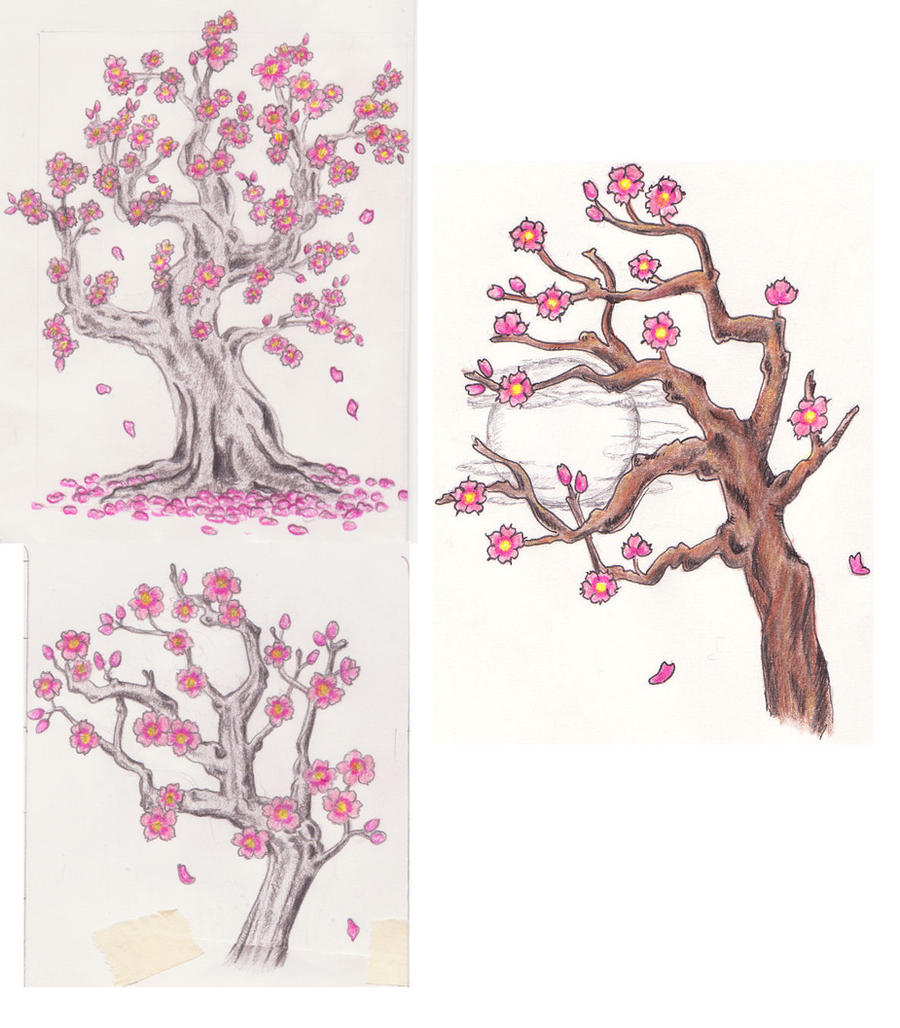 Blossom Tree Drawing