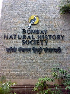 Bnhs Mumbai