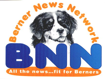 Bnn Logo