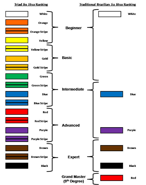 Brazilian Jiu Jitsu Belts Ranking