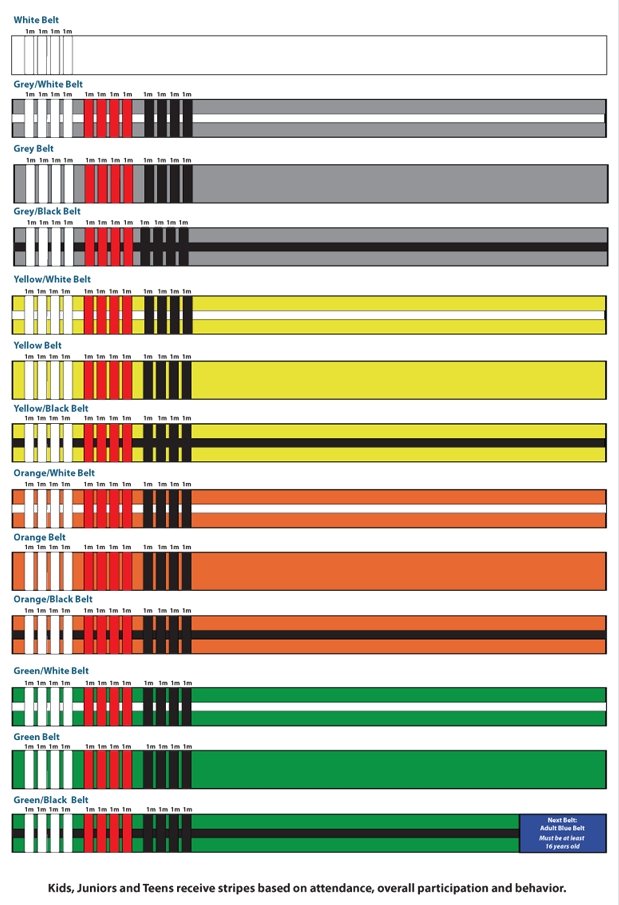 Brazilian Jiu Jitsu Belts Ranking