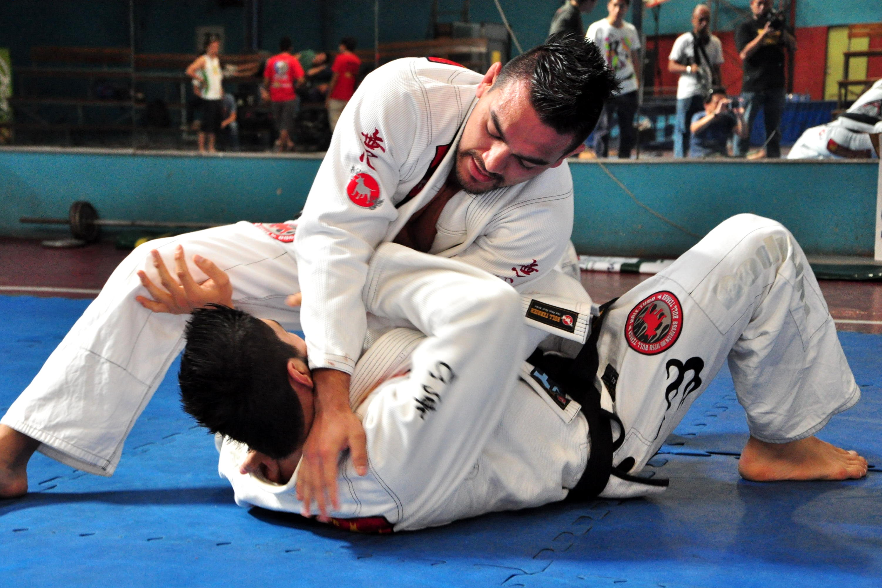 Brazilian Jiu Jitsu Moves