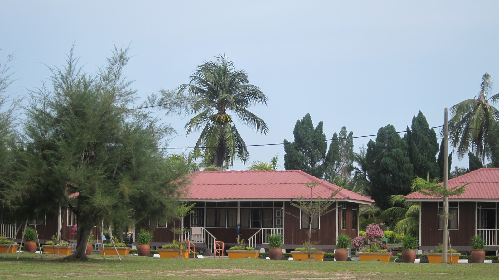 Camar Laut Lkim Bagan Lalang