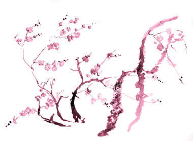 Cherry Blossom Tree Drawing Step By Step