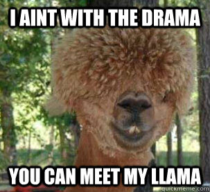 Chief Keef Llama Meme