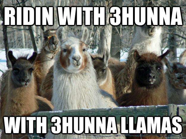 Chief Keef Llama Meme