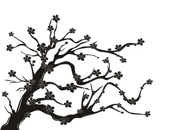 Chinese Cherry Blossom Tree Drawing