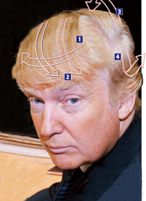 Donald Trump Hair Piece