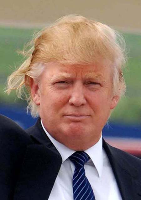 Donald Trump Hair Piece