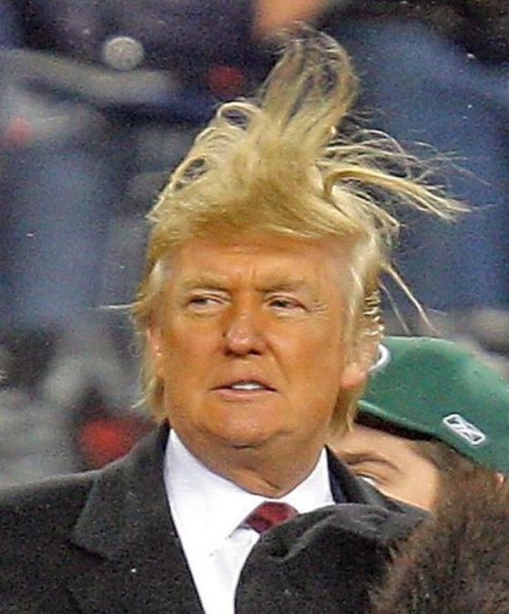 Donald Trump Hair Young