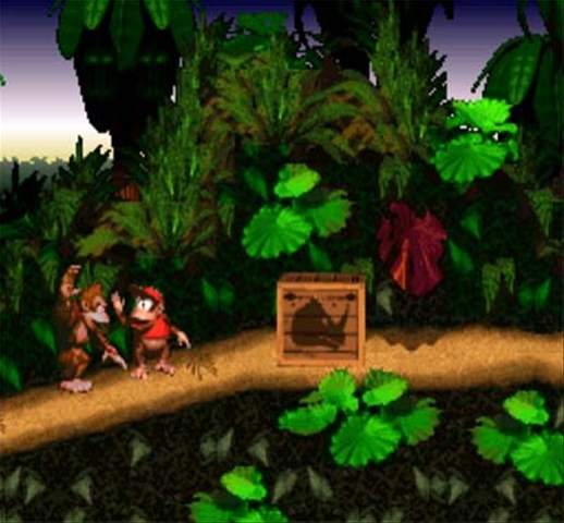 Donkey Kong Country 2 Snes For Sale