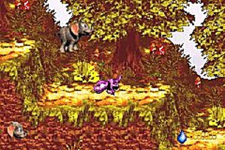 Donkey Kong Country 3 Cheats For Gameboy Advance