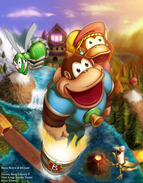 Donkey Kong Country 3