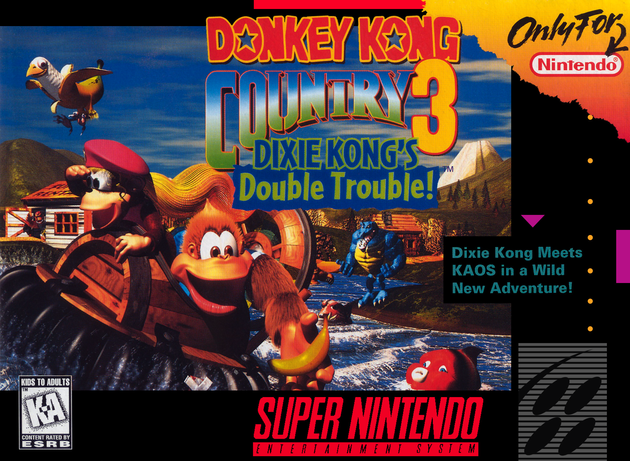 Donkey Kong Country 3