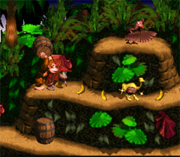 Donkey Kong Country 3 Rom