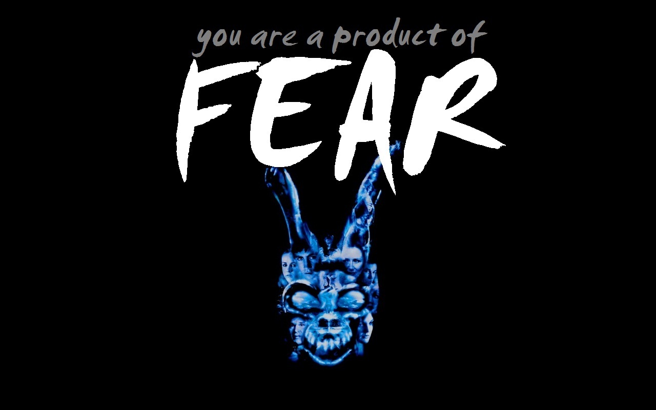 Donnie Darko Wallpaper