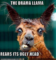 Drama Llama Meme