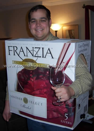 Easy Homemade Halloween Costumes For Adults 2009