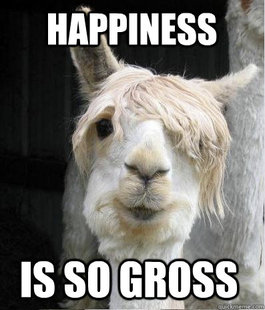 Emo Llama Meme