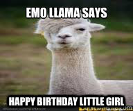 Emo Llama Meme