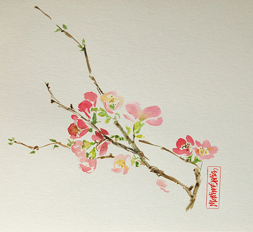 Flor De Cerezo Dibujo