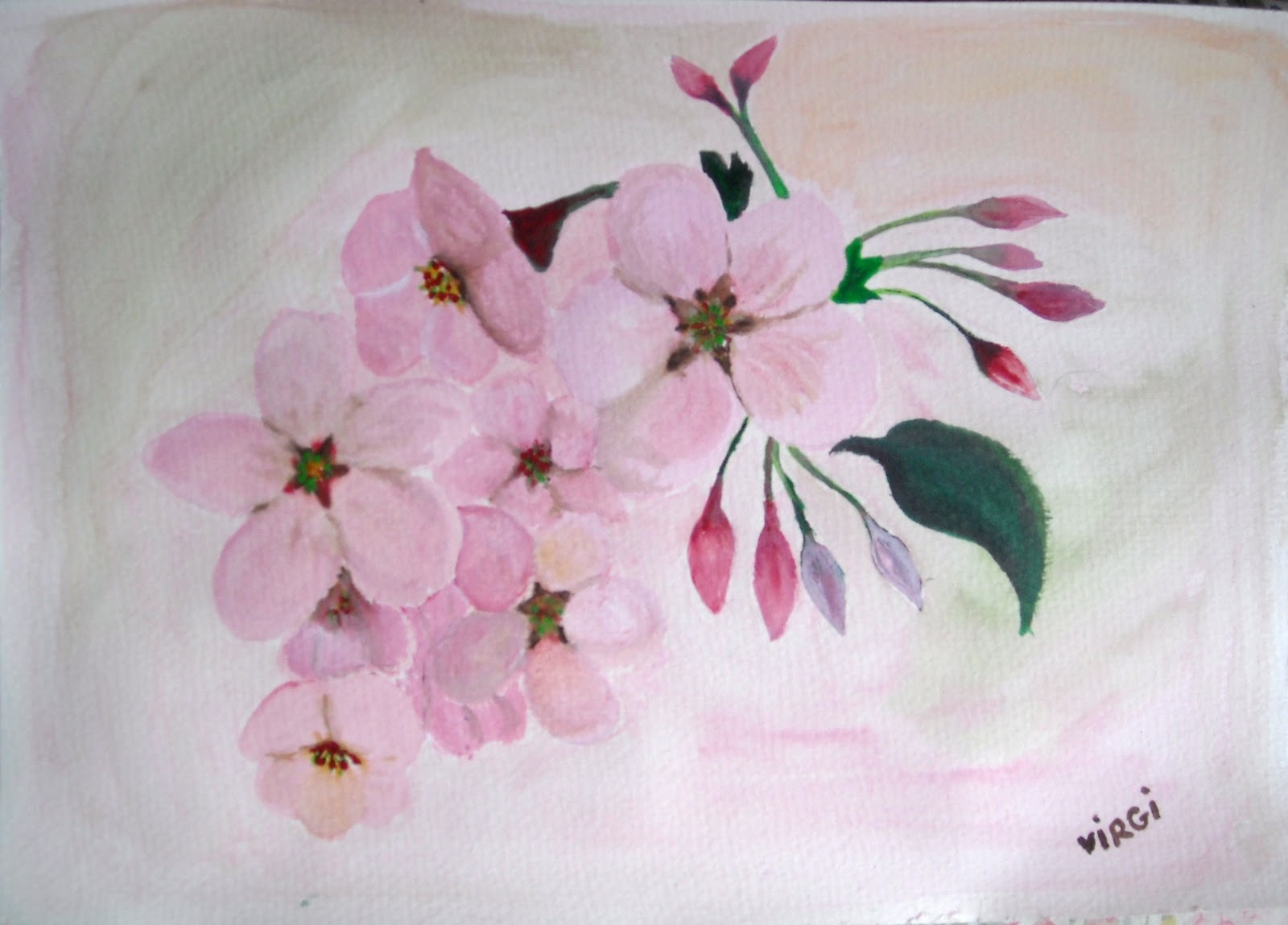 Flor De Cerezo Pintura