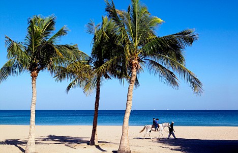 Fujairah Beach