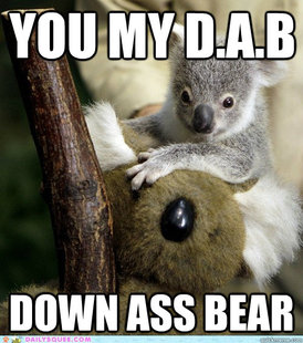 Funny Koala Meme