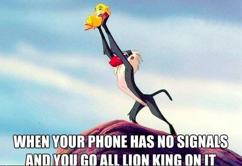 Funny Lion King Quotes