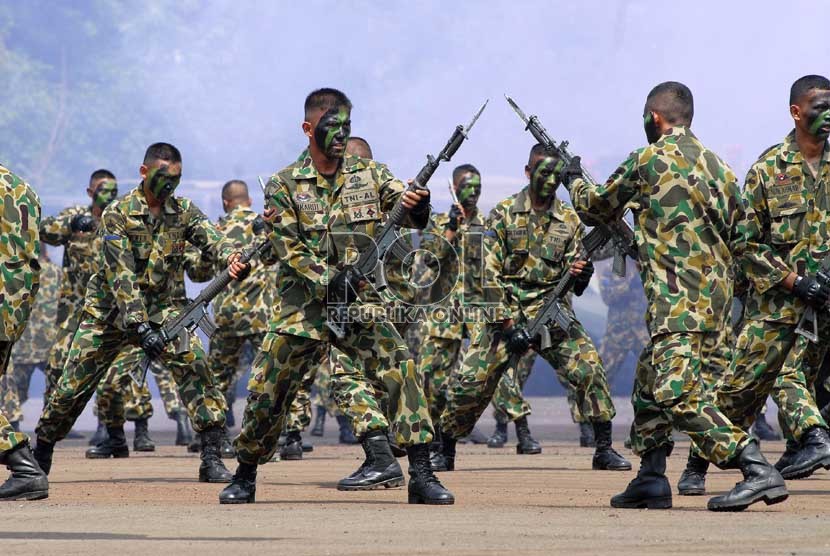 Gambar Marinir Tni Al