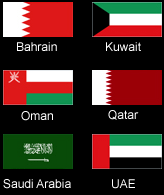 Gcc Flags