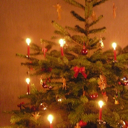 Germany Christmas Tree