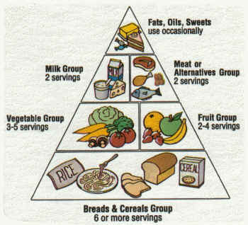 Germany Food Pyramid