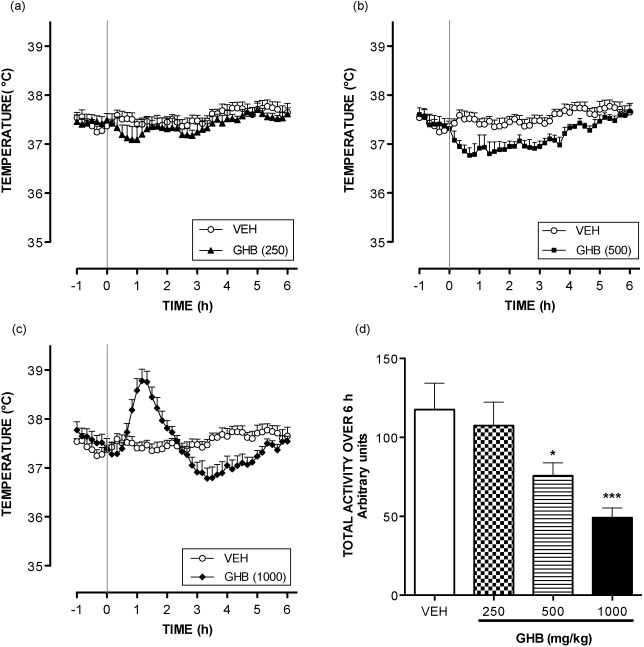 Ghb Drug Effects Body