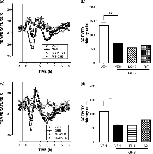 Ghb Drug Effects Body