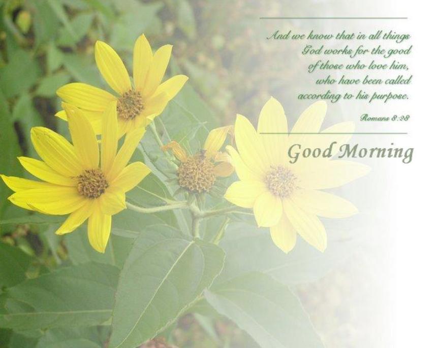 Good Morning Wishes Pictures