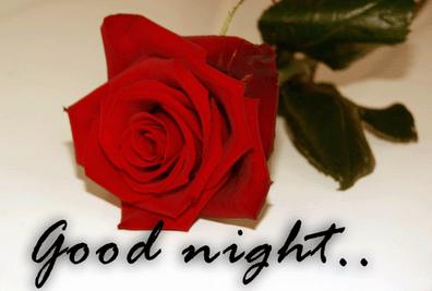 Good Night Sms For Friendship