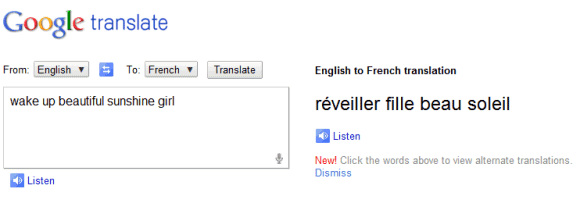 Google Translate Voice Api