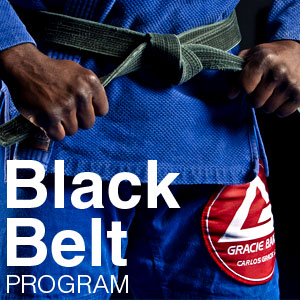 Gracie Jiu Jitsu Belts For Sale