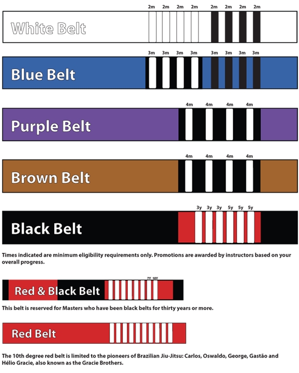 Gracie Jiu Jitsu Belts Ranking