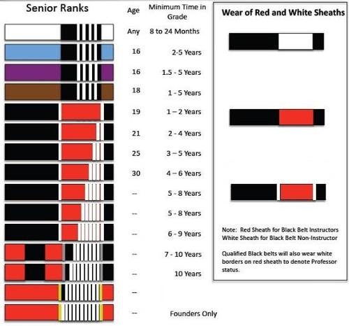 Gracie Jiu Jitsu Belts Ranking