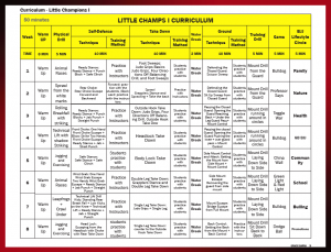 Gracie Jiu Jitsu Belts Ranking