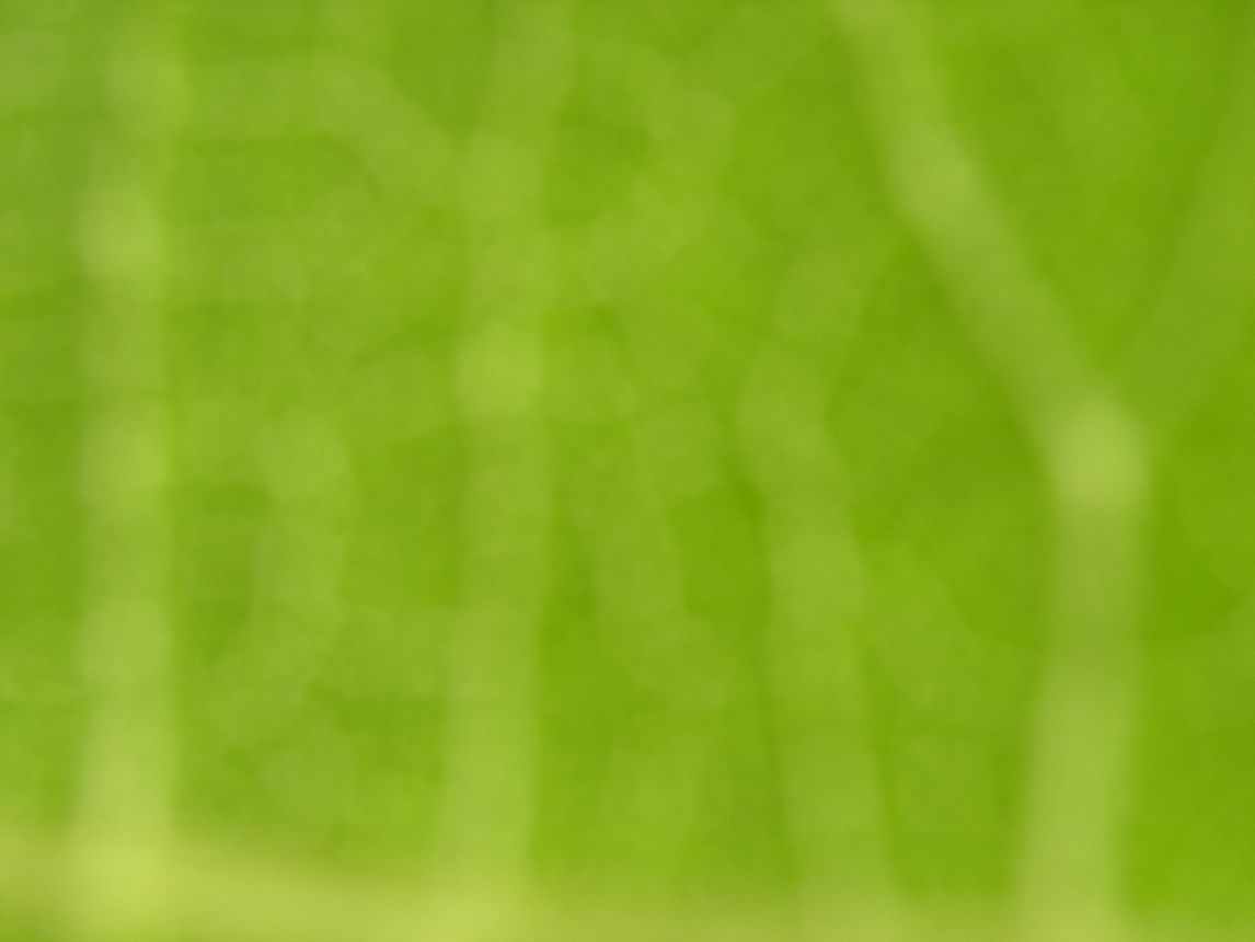 Green Background Texture