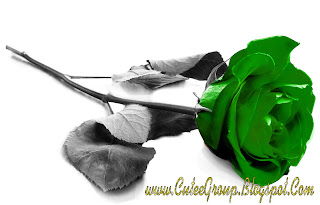 Green Rose Wallpaper Hd