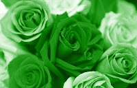 Green Rose Wallpaper Hd