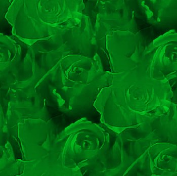 Green Roses Background